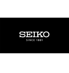 logo seiko cabinet step one coaching formation client